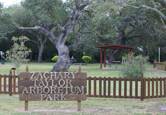 Zachary Taylor Park